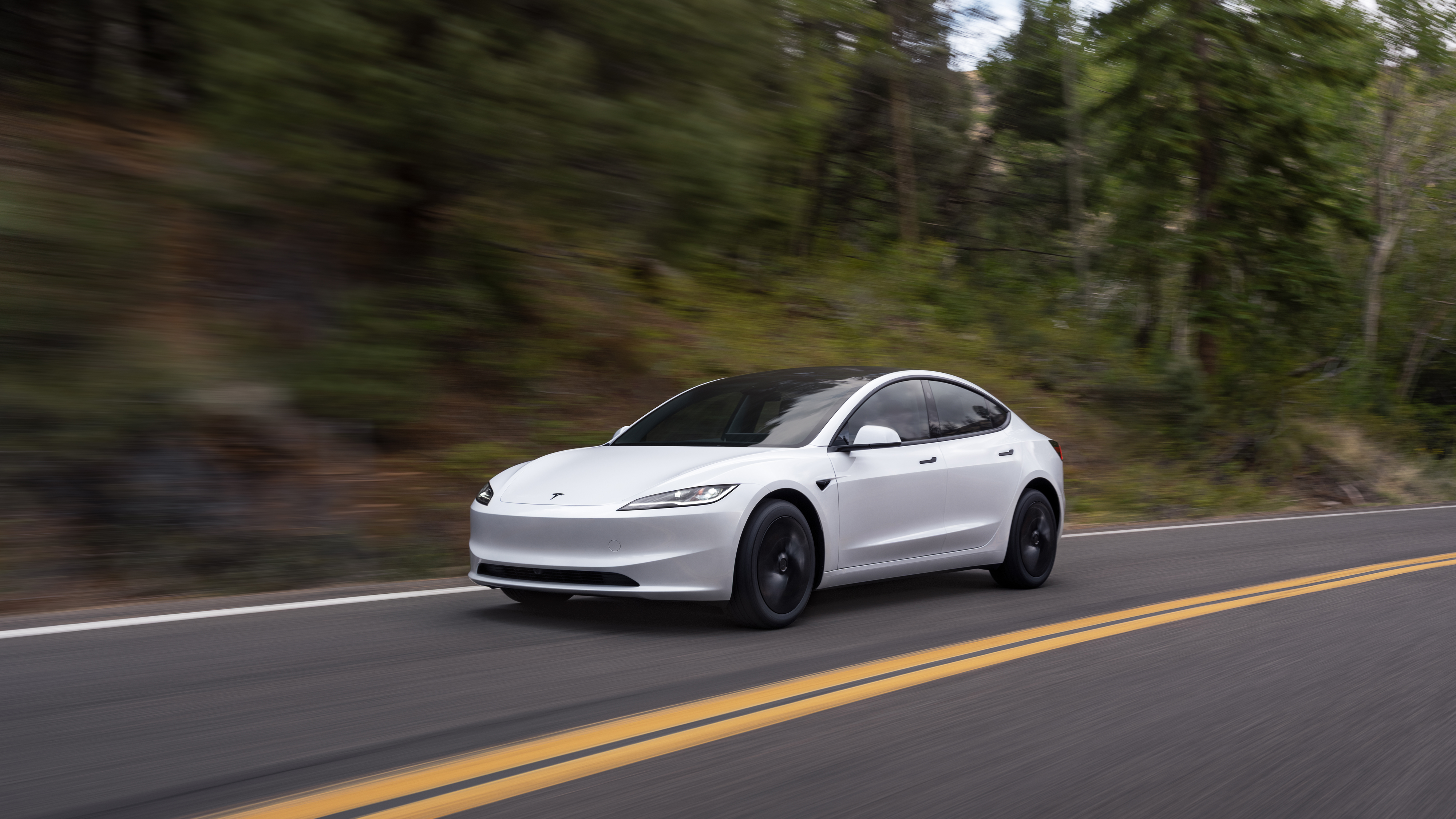 Model 3 photo 3